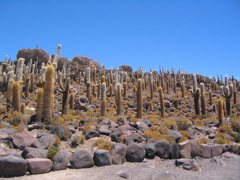 Photo Bolivie