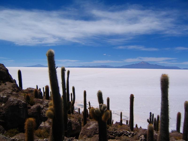 Bolivie