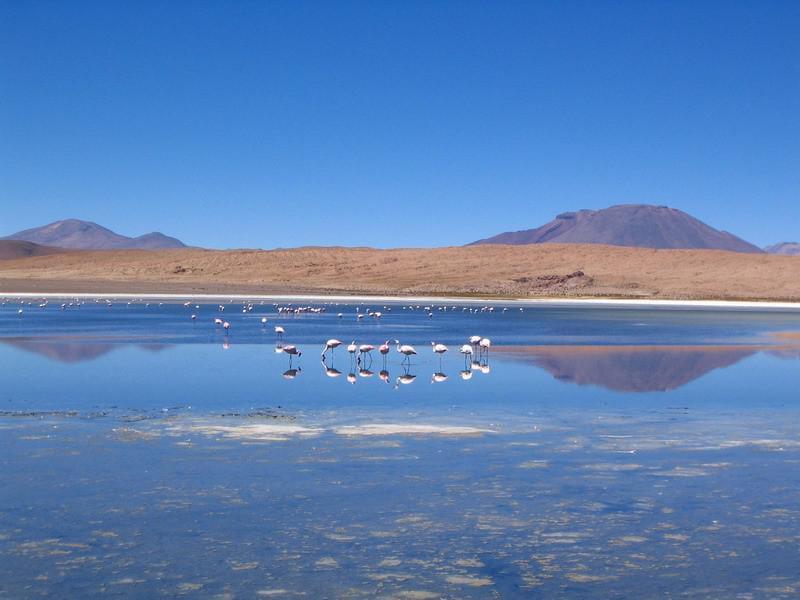 Bolivie