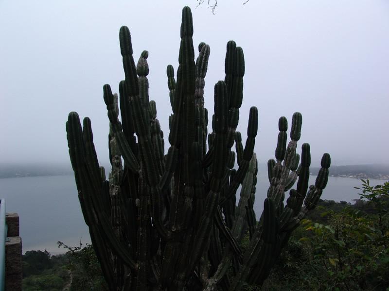Brésil