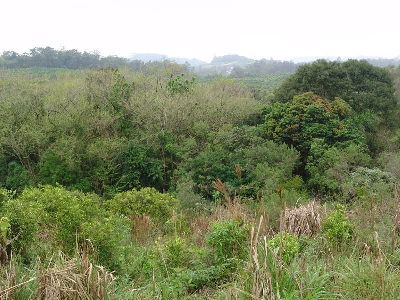 Brésil