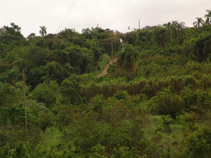 Brésil