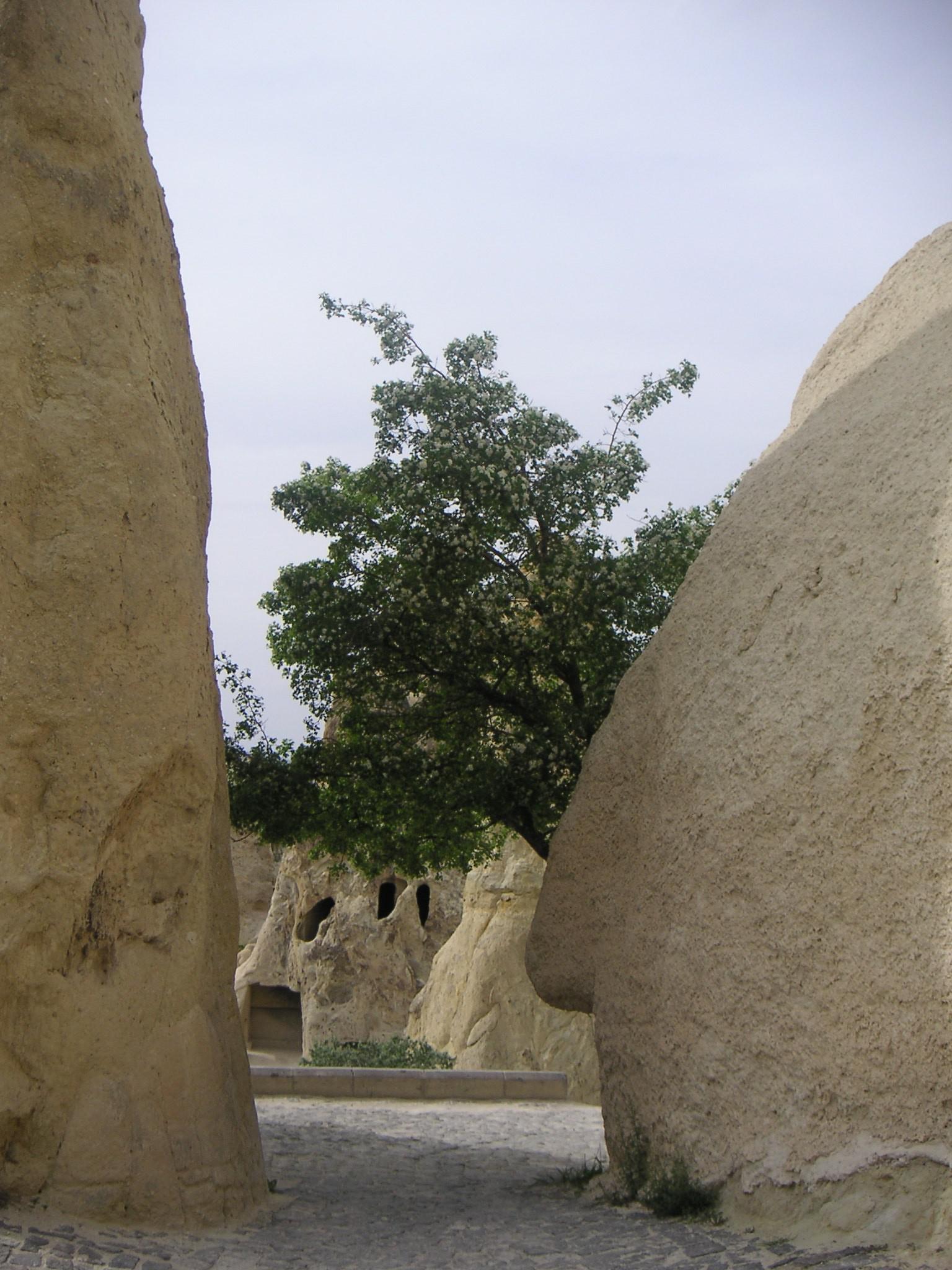 Cappadoce