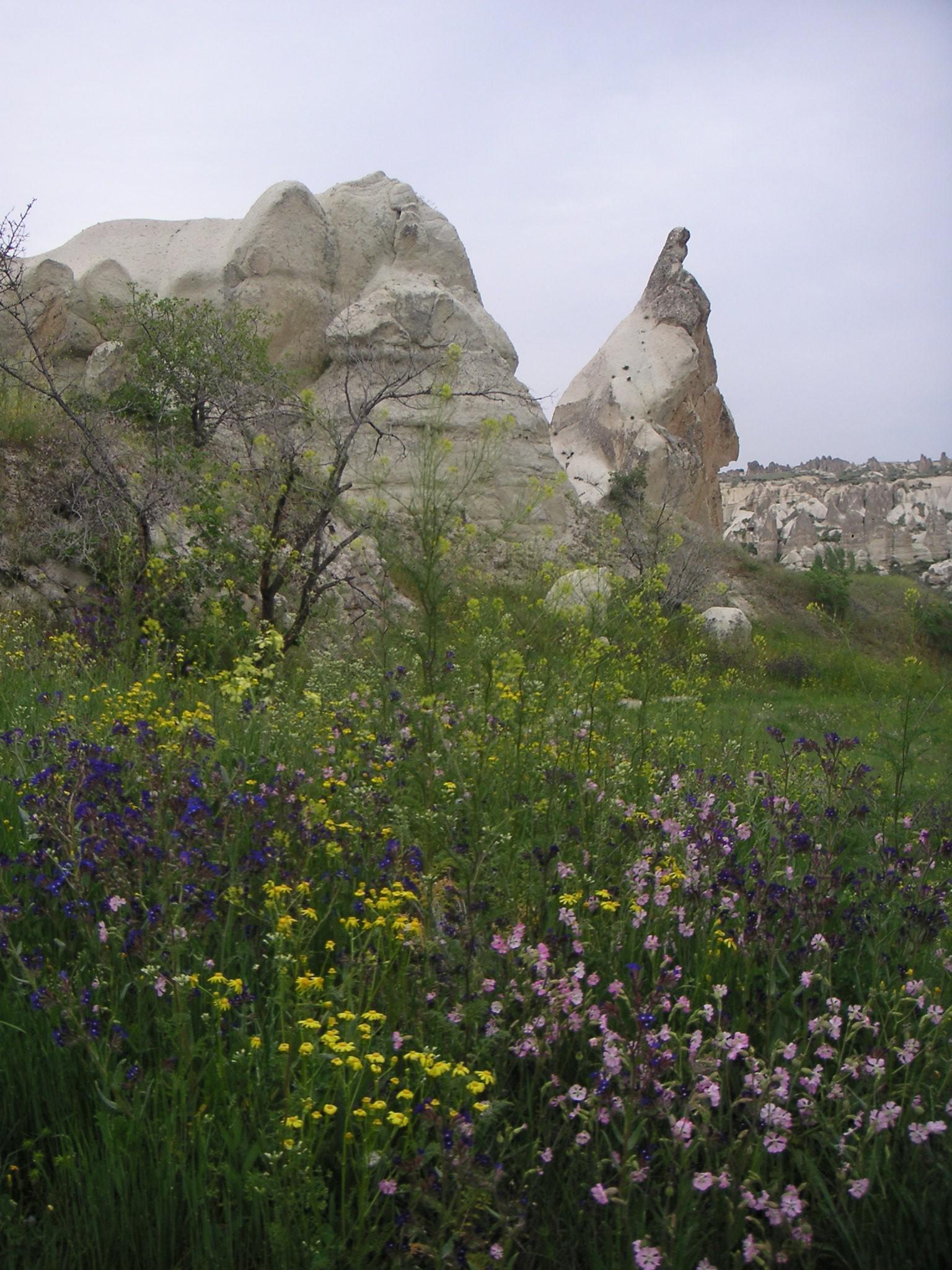 Cappadoce