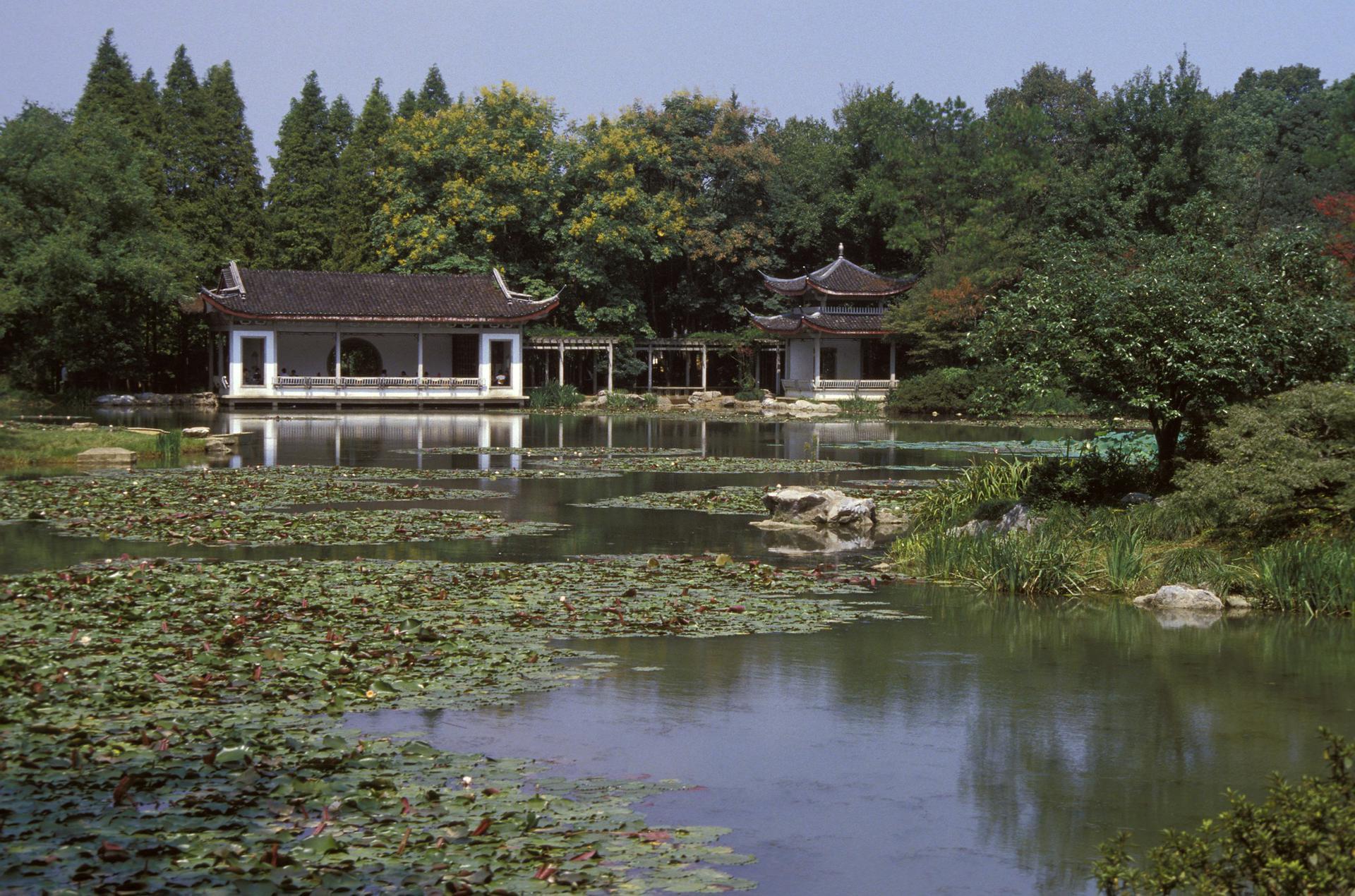 Chine