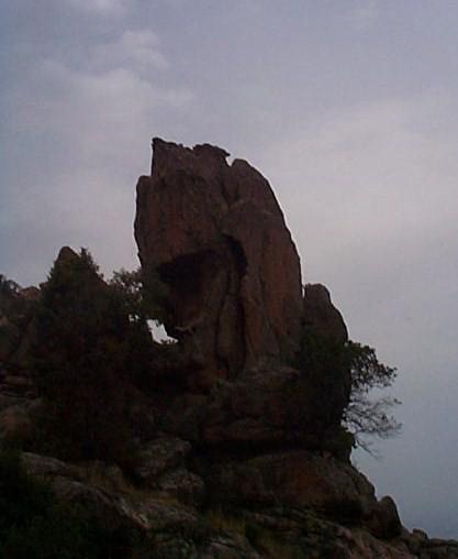 Corse