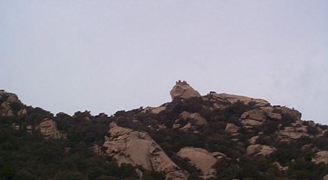 Corse