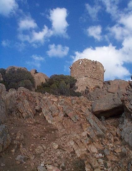 Corse