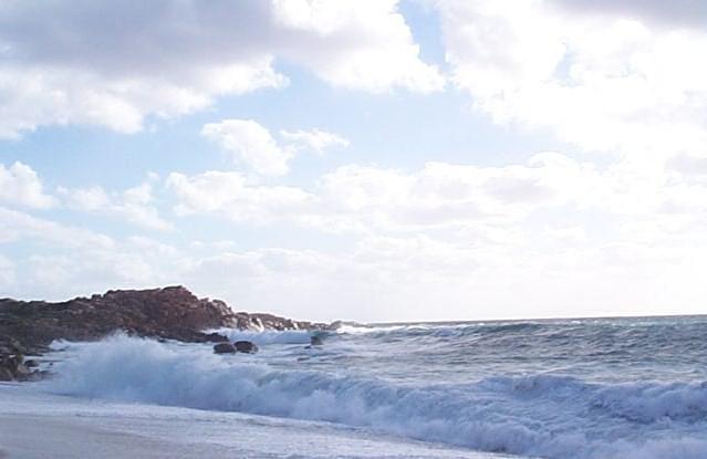 Corse