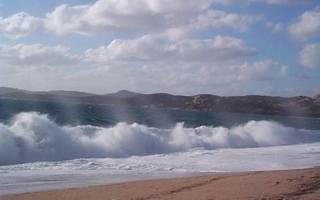 Corse