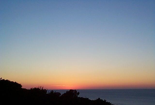 Corse