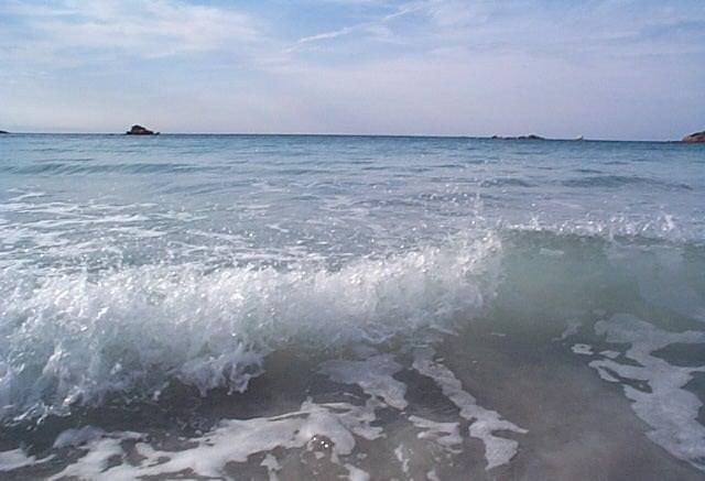 Corse