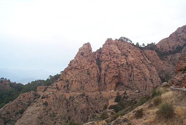 Corse