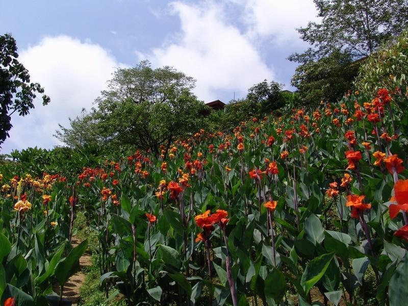 Costa Rica