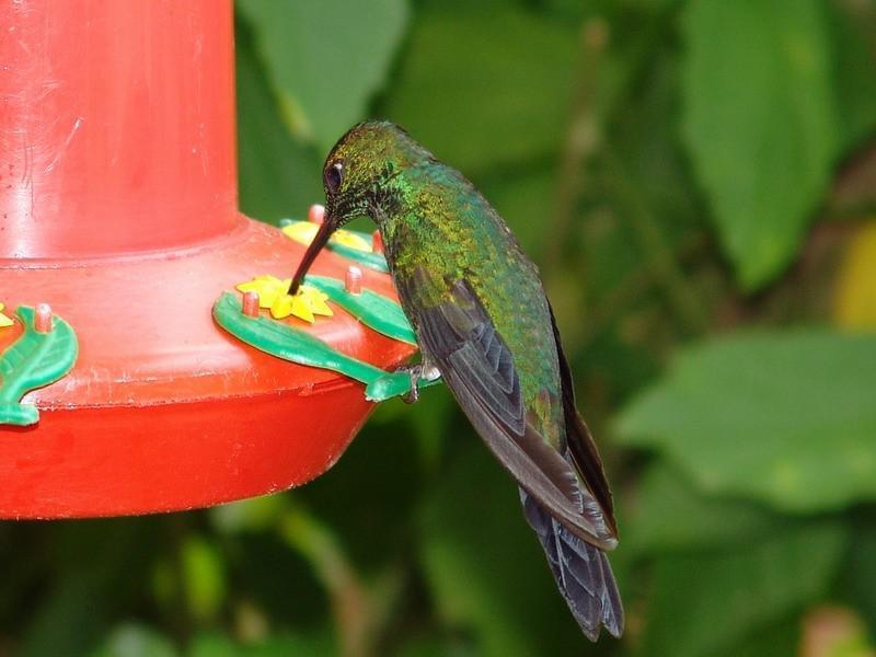 Costa Rica