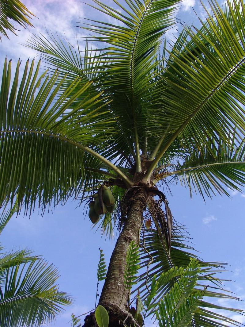 Costa Rica