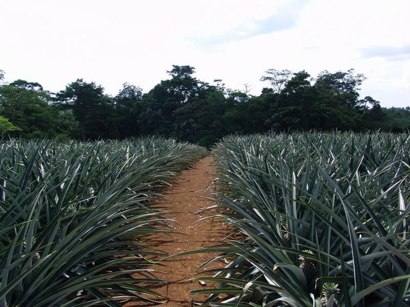 Costa Rica