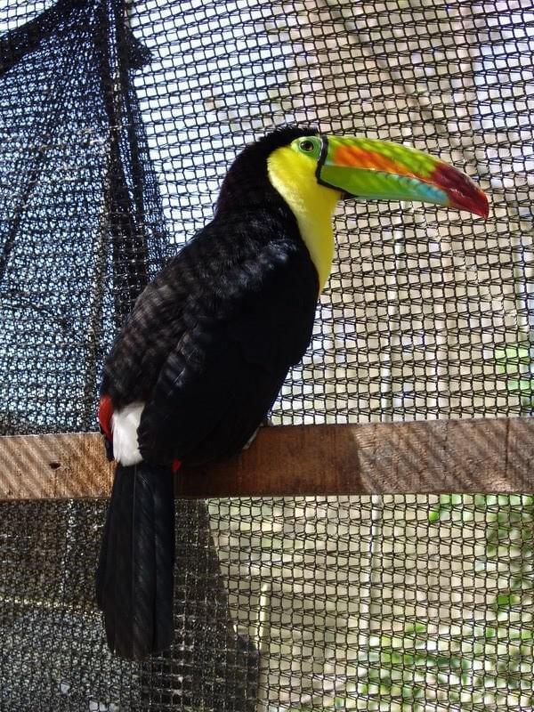 Costa Rica