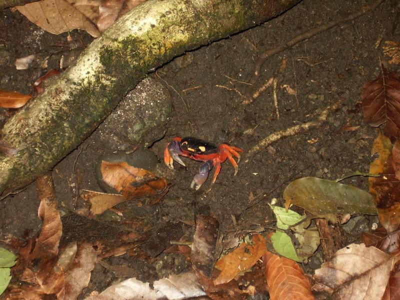 Costa Rica