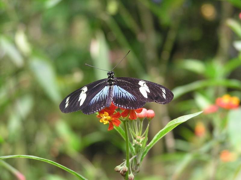 Costa Rica