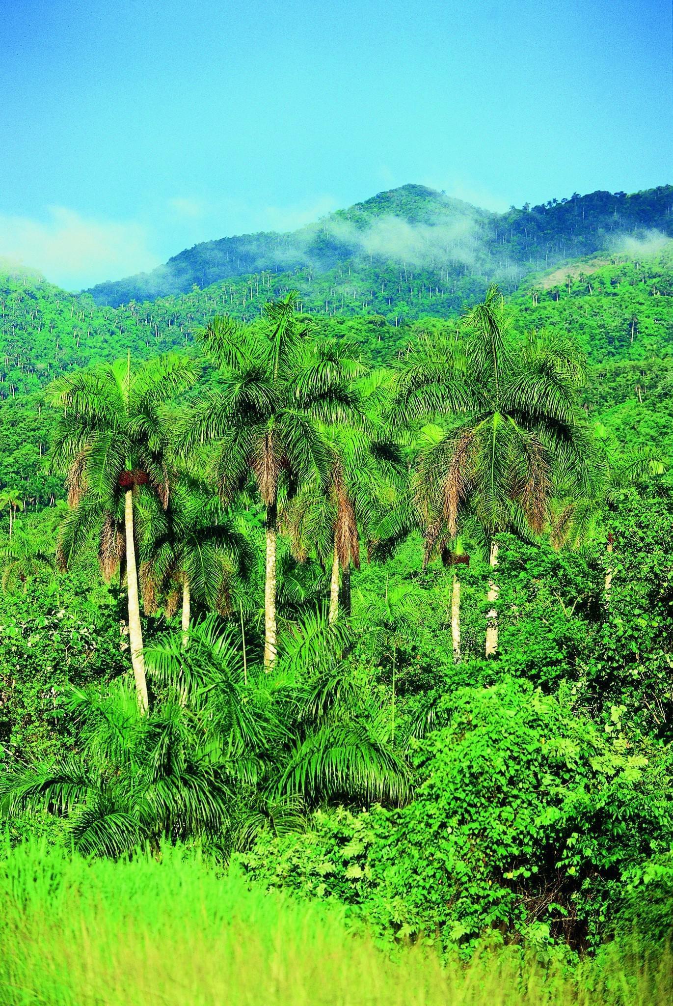 Cuba