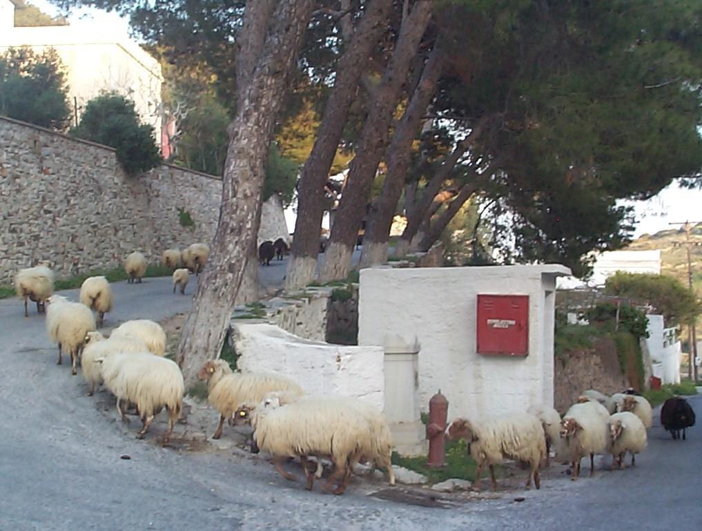 Iles des Cyclades