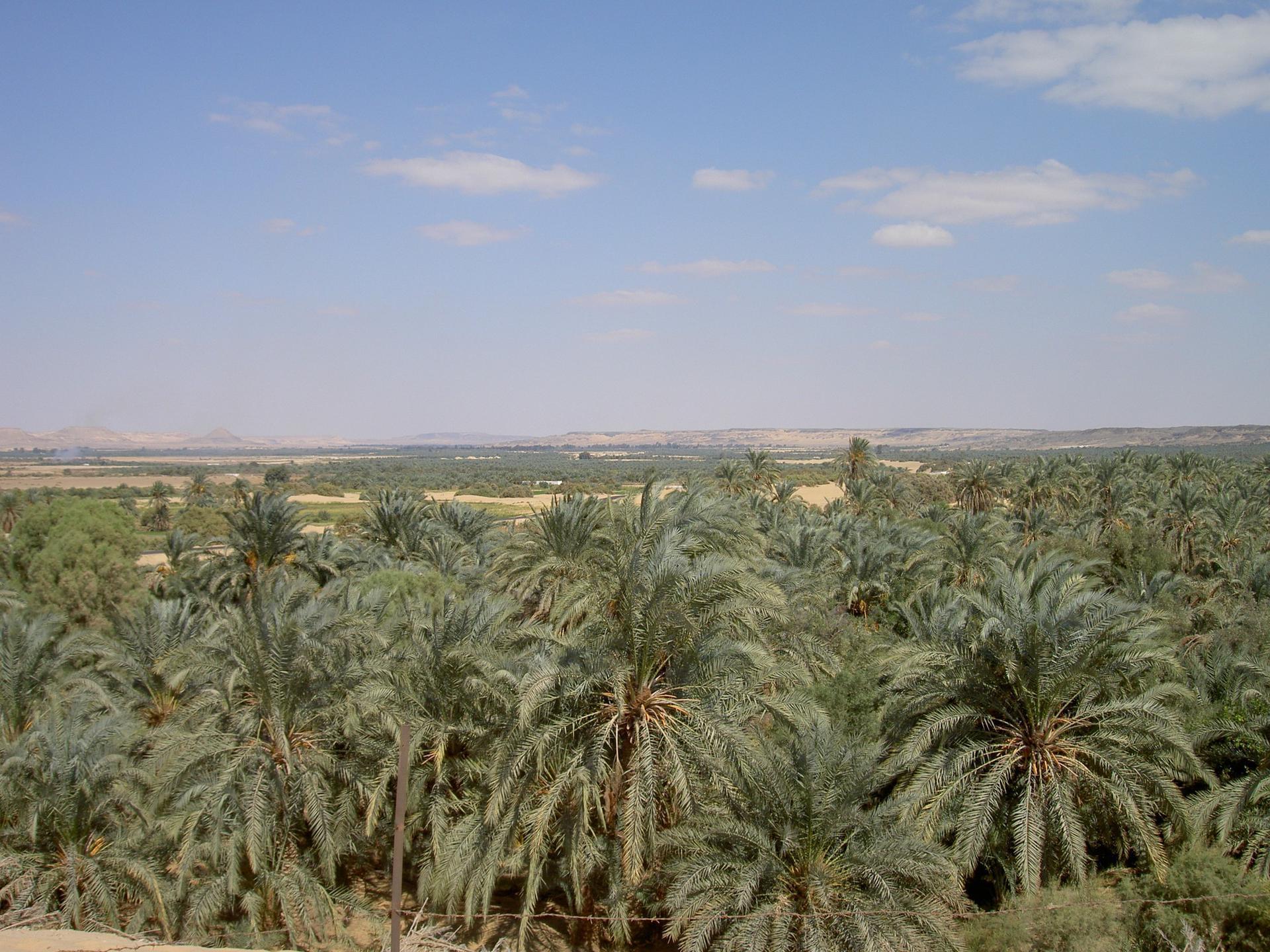 Egypte