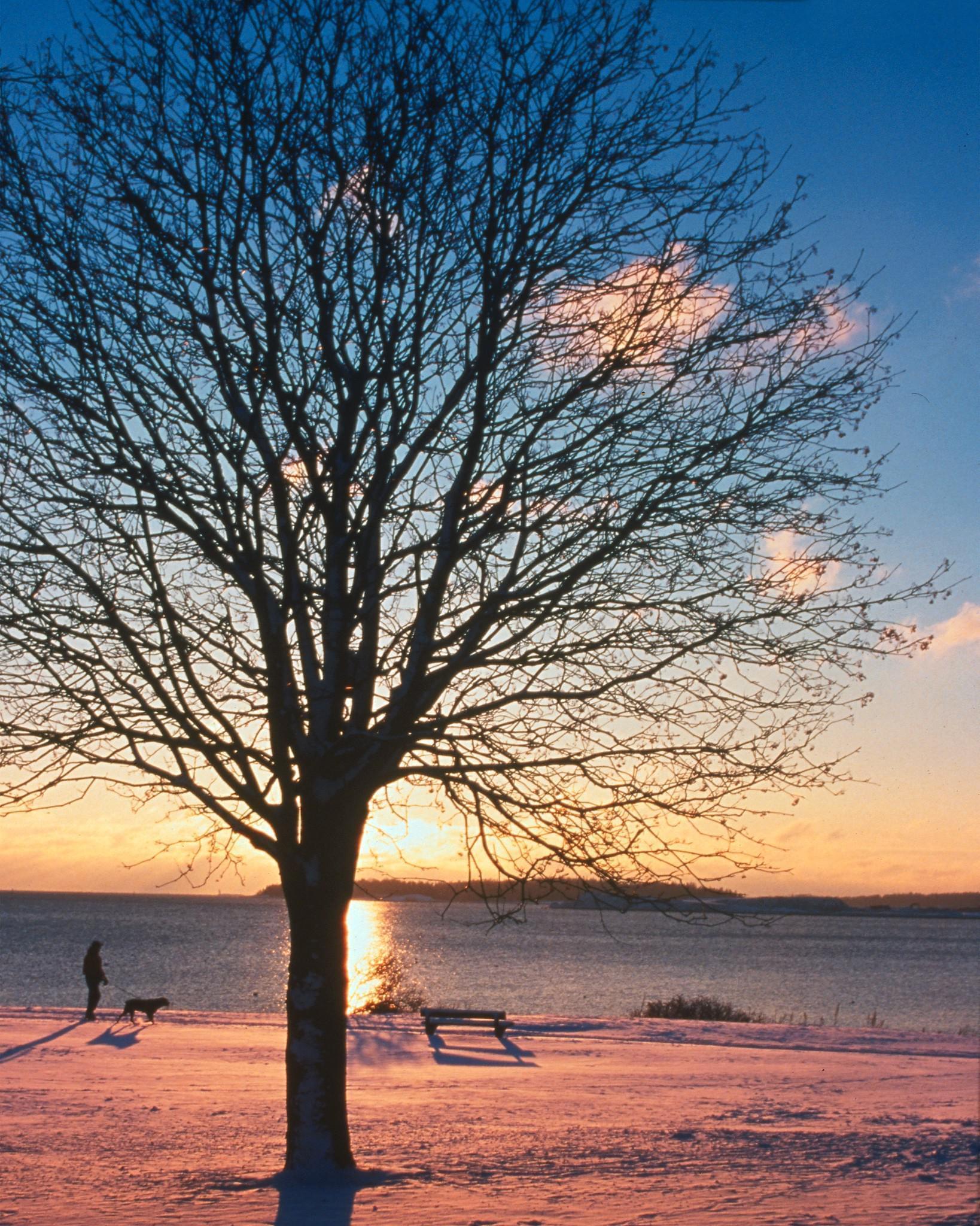 Finlande
