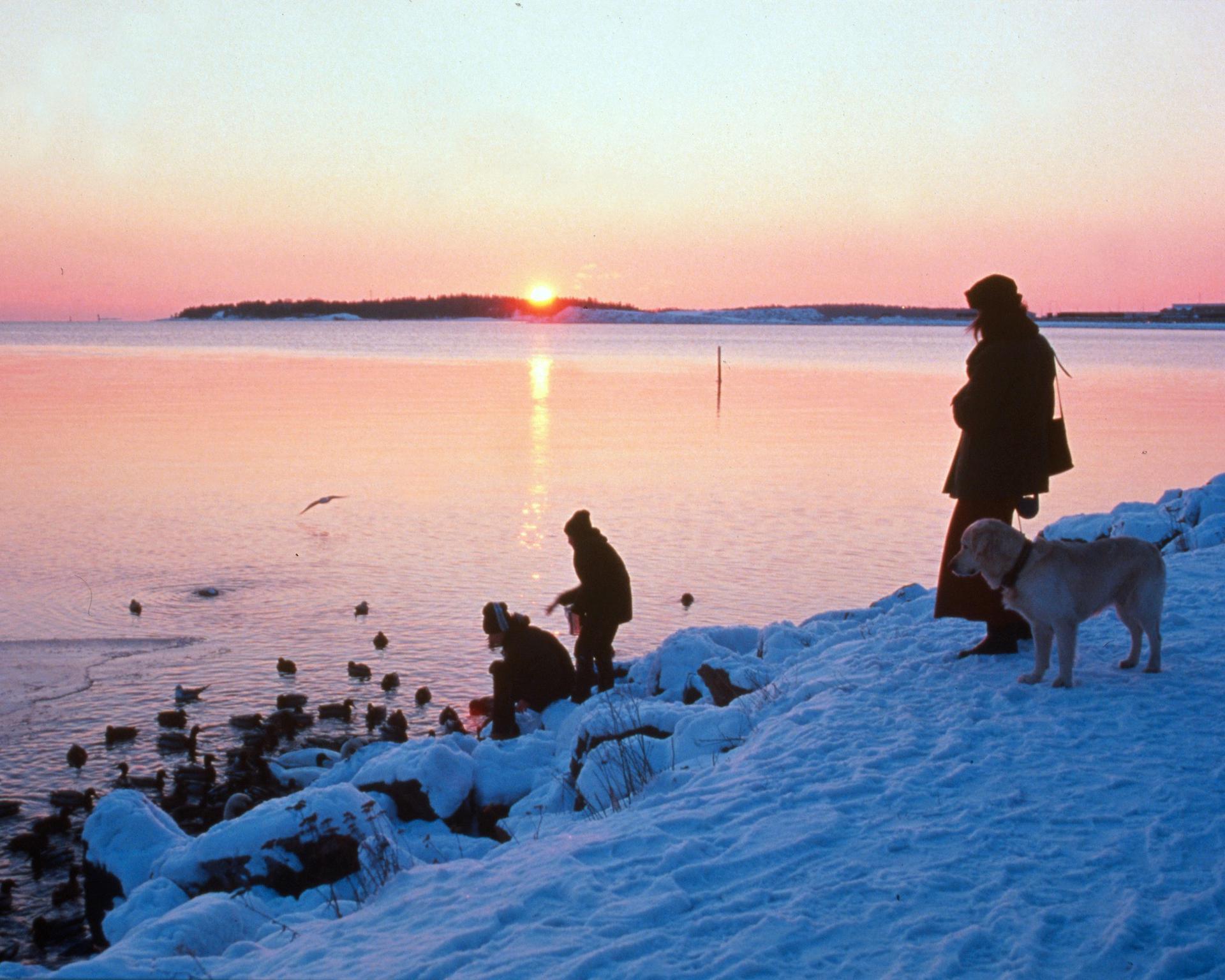 Finlande