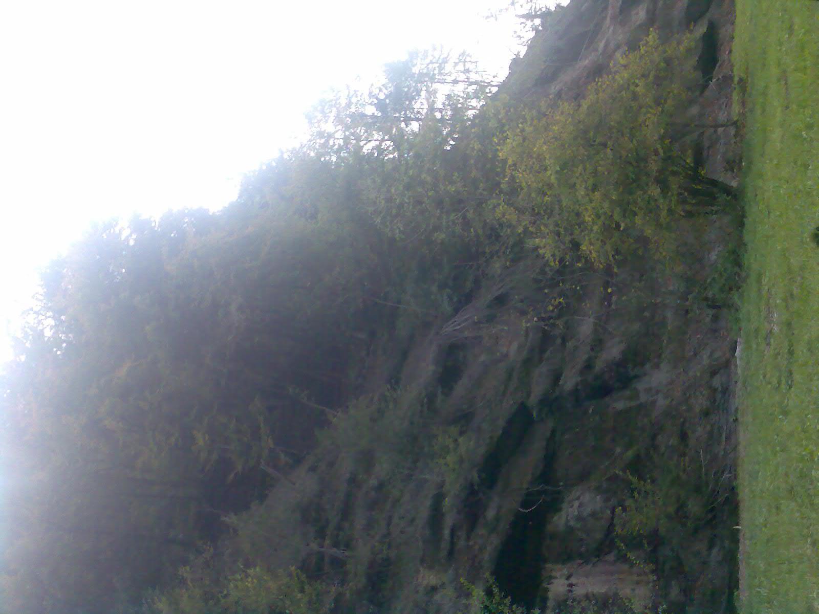 Fribourg