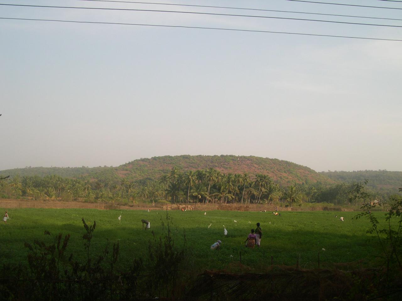 Goa