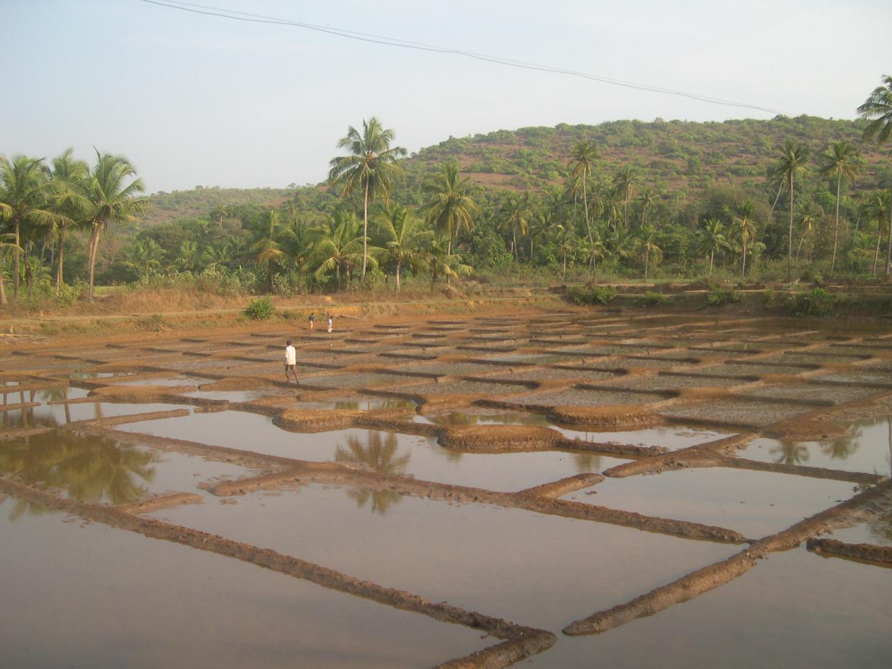 Goa