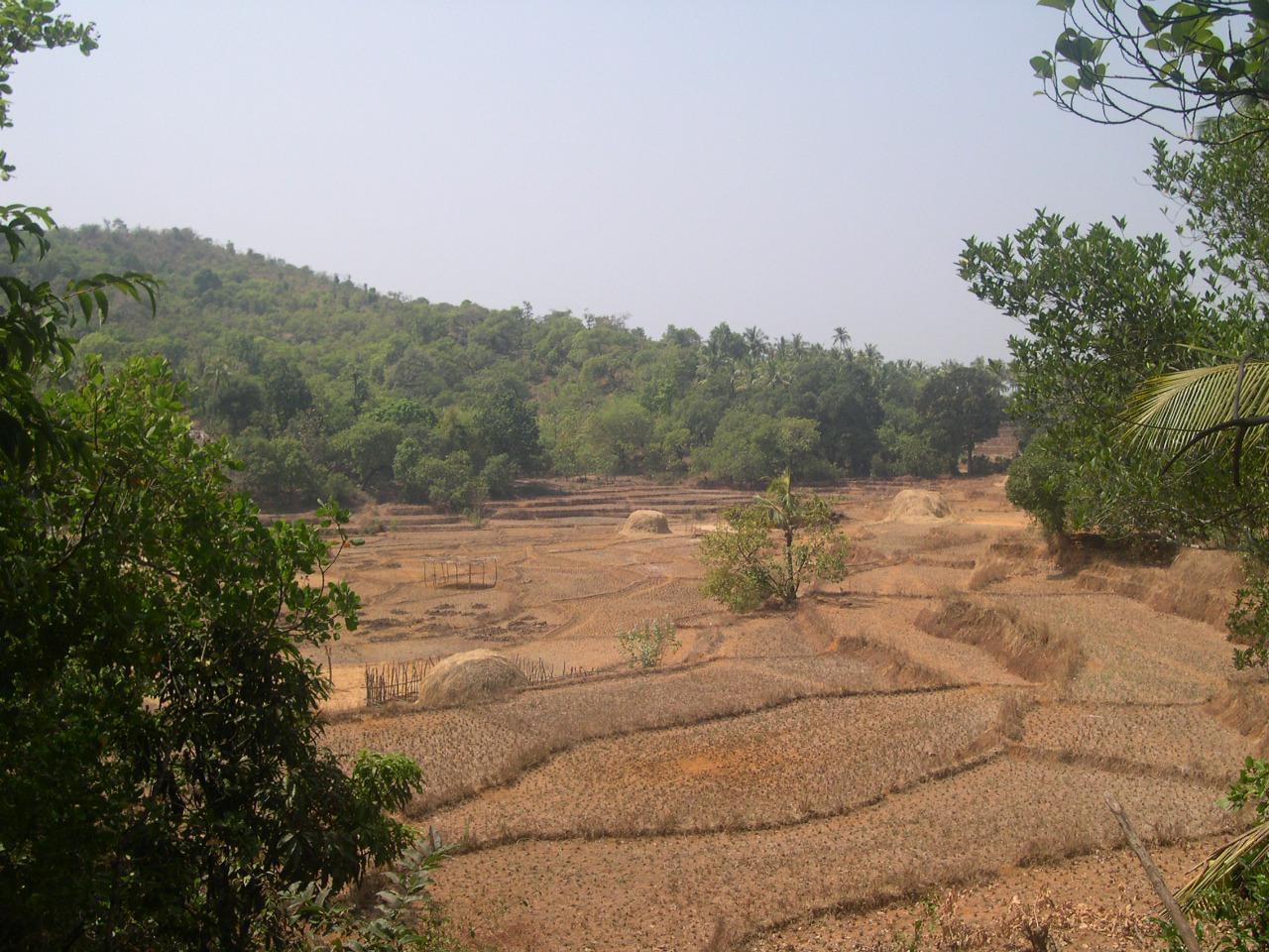 Goa