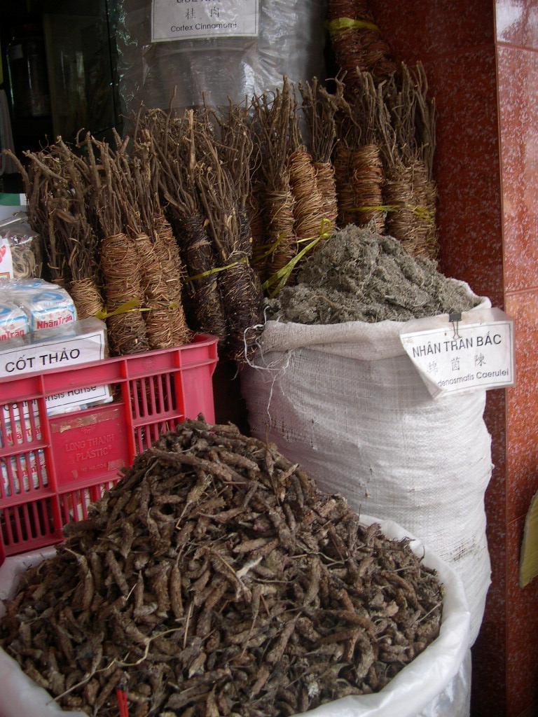 Ho Chi Minh Ville  Saigon