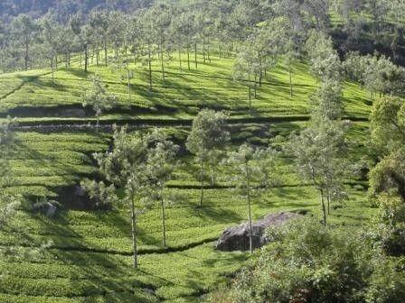 Inde