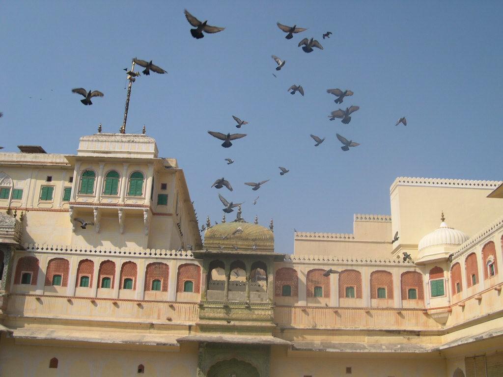 Jaipur