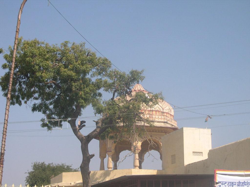 Jaipur