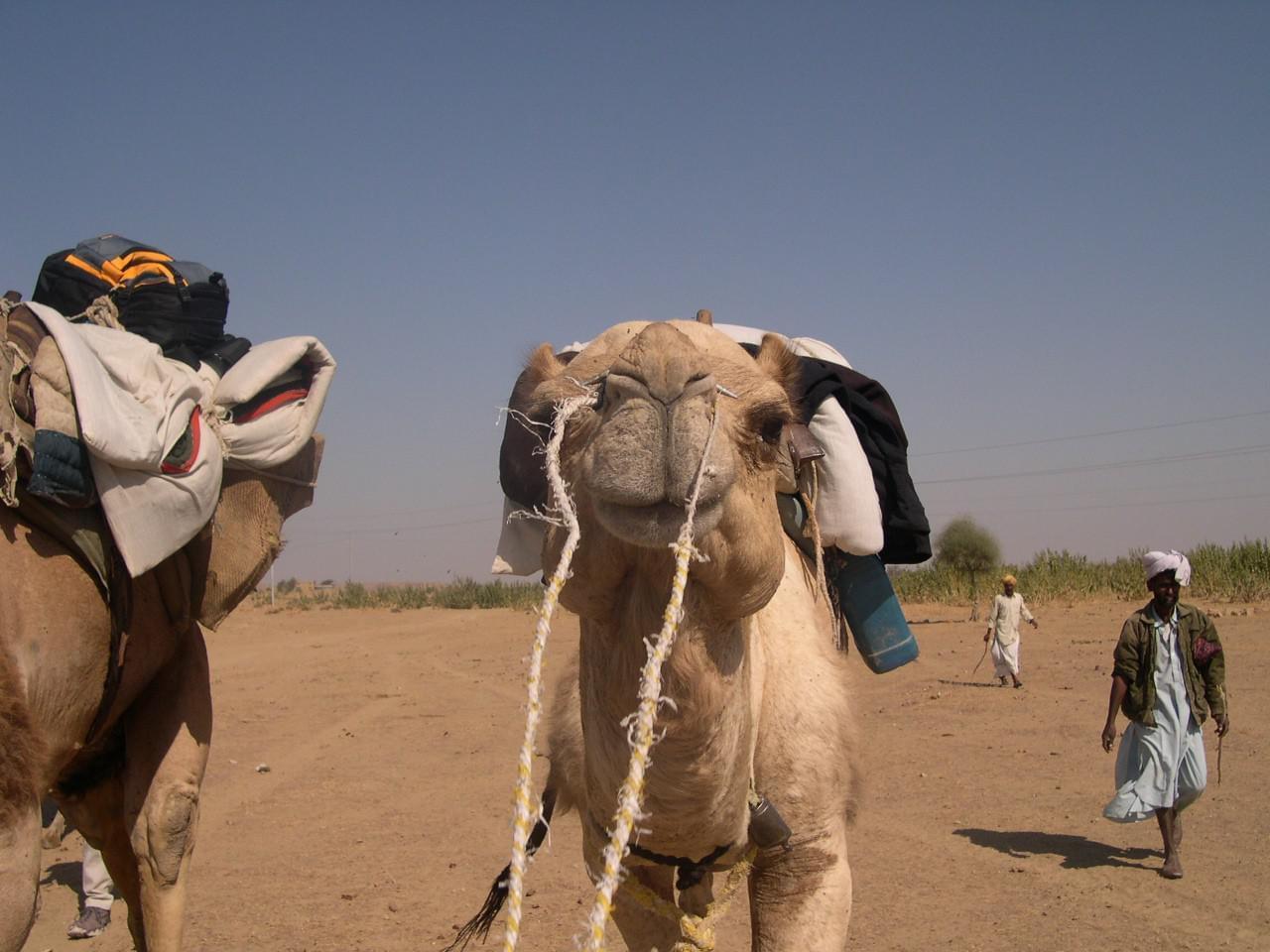 Jaisalmer