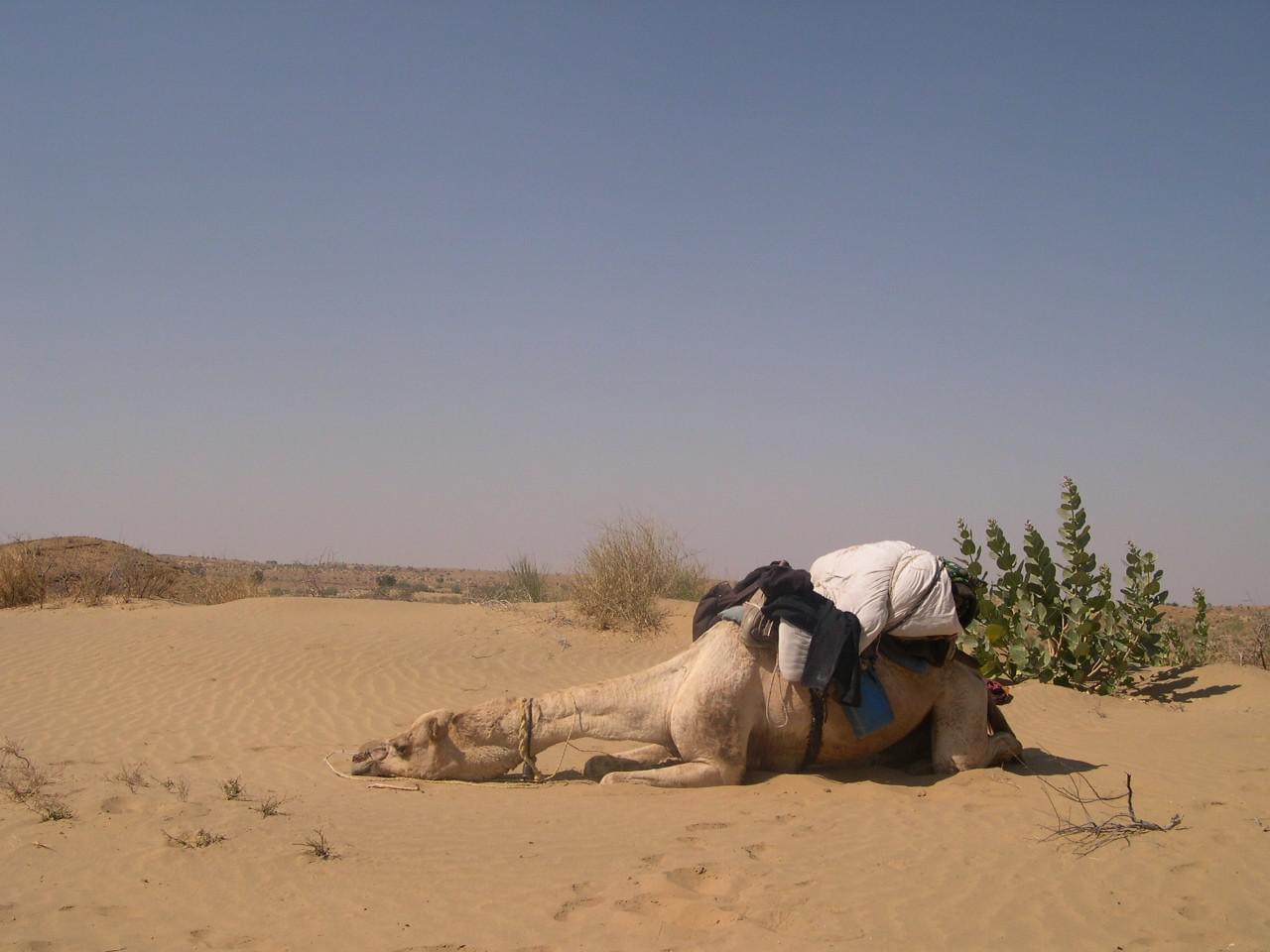 Jaisalmer