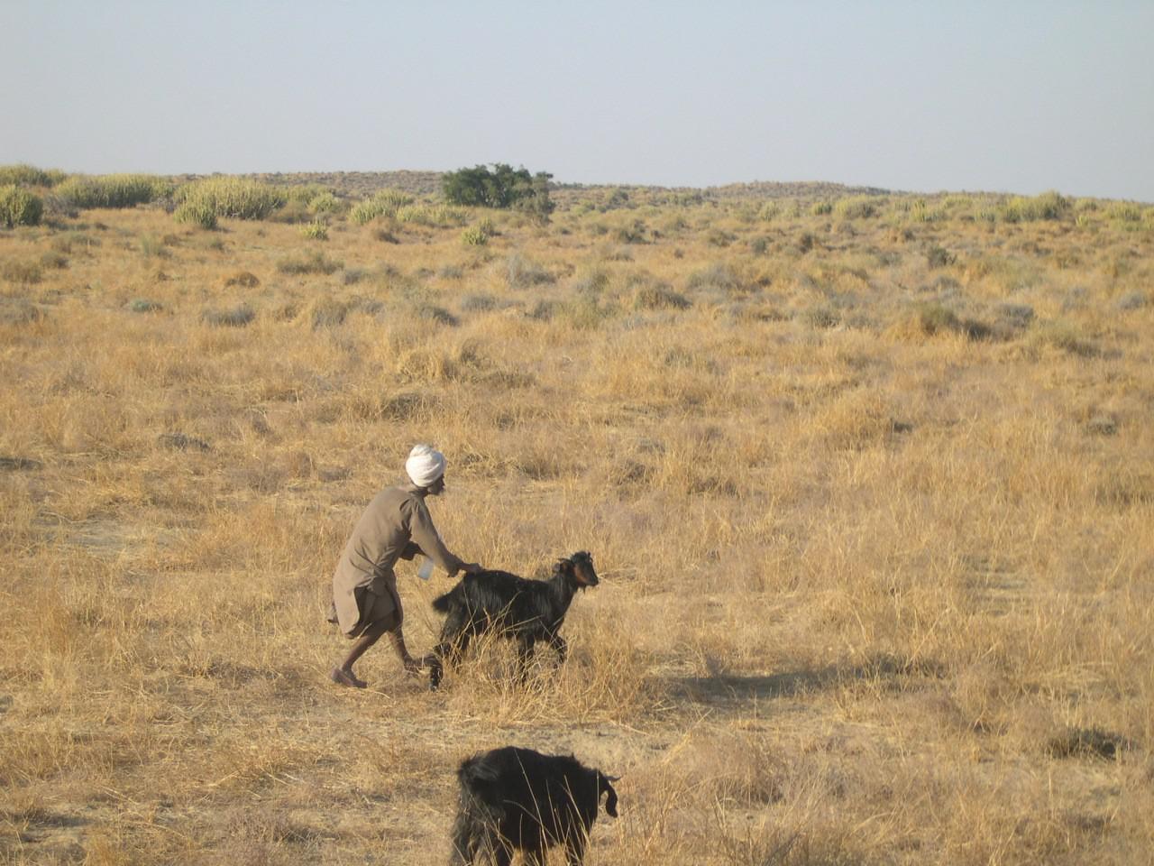 Jaisalmer