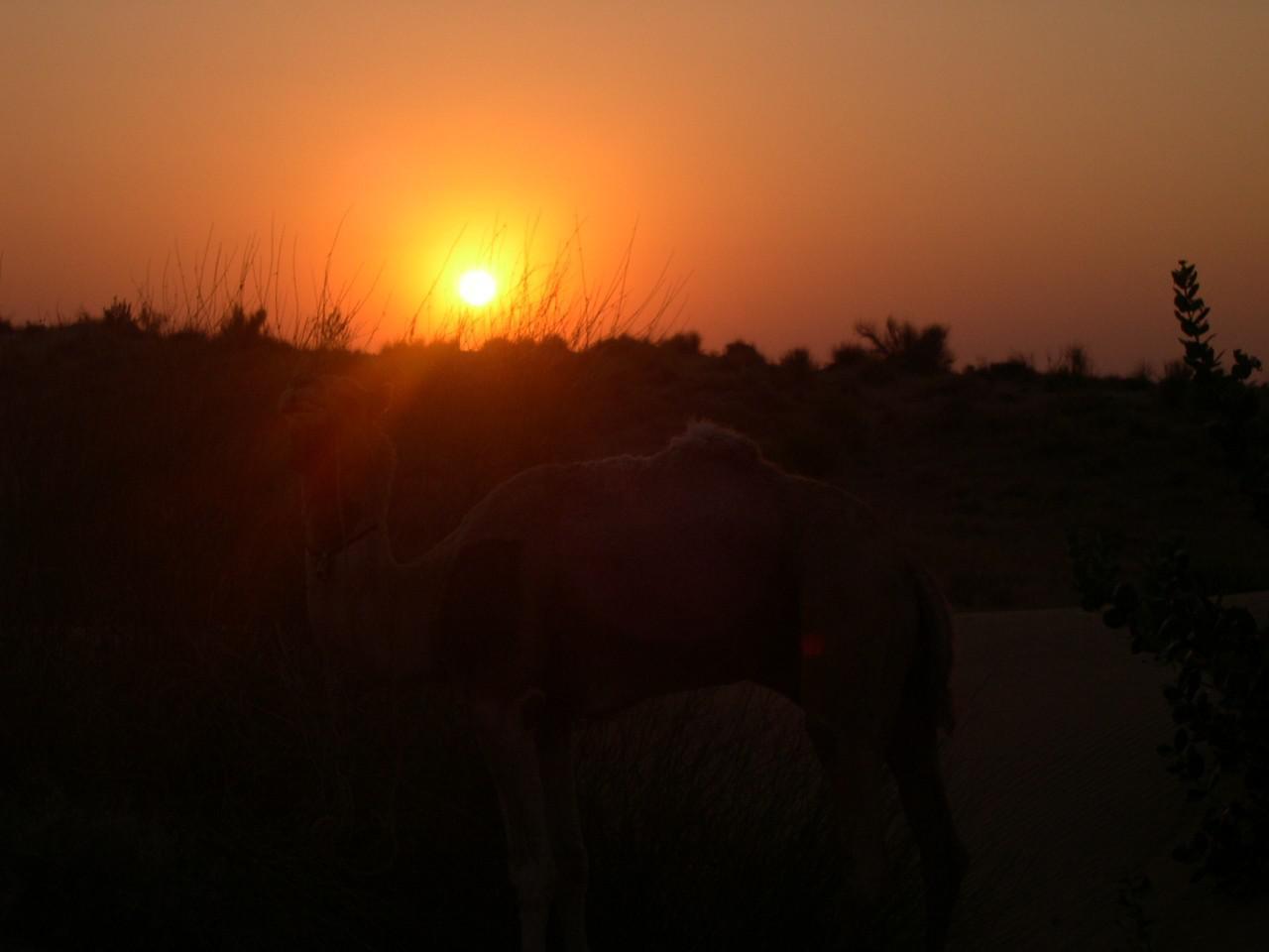 Jaisalmer