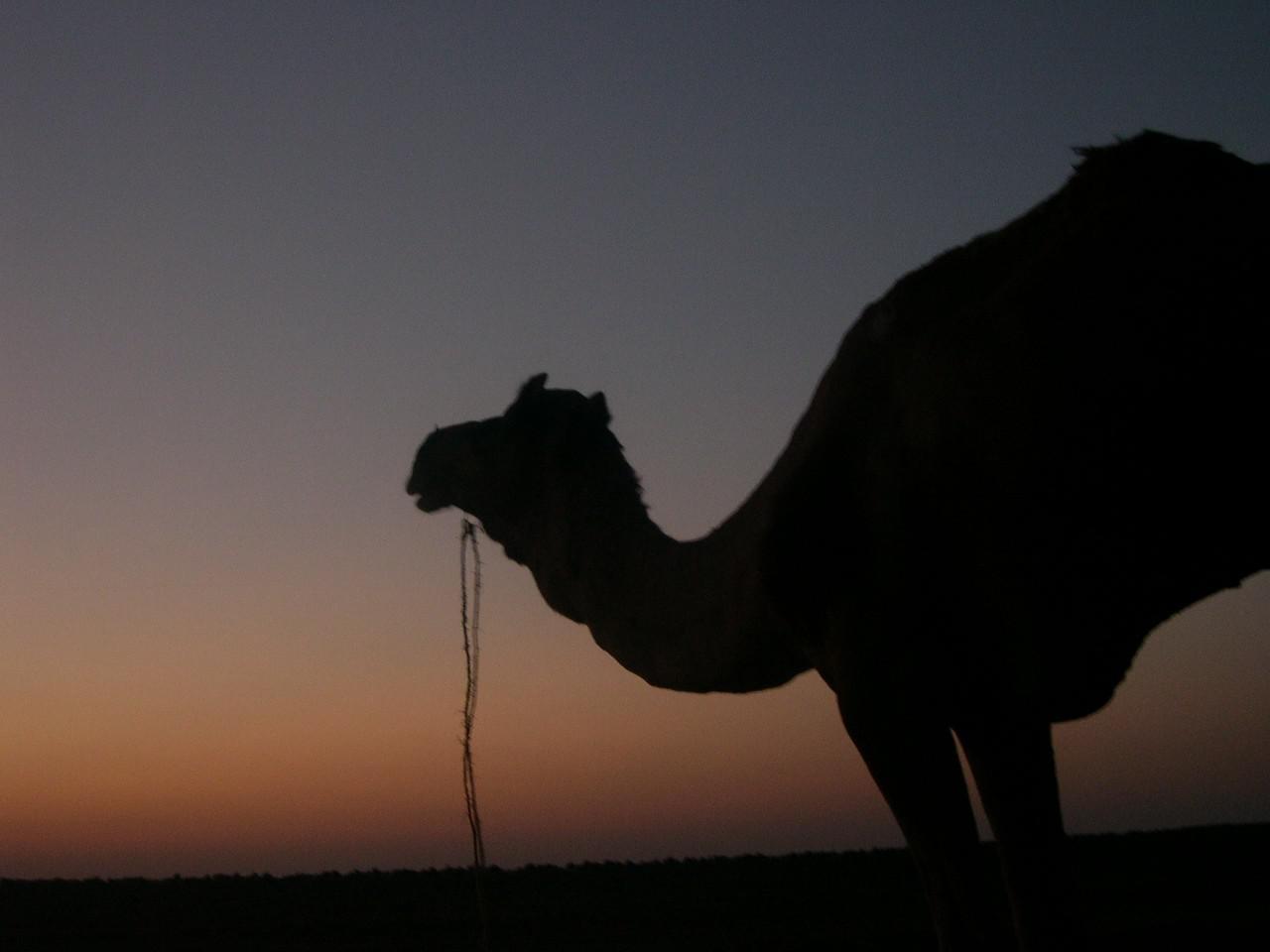 Jaisalmer