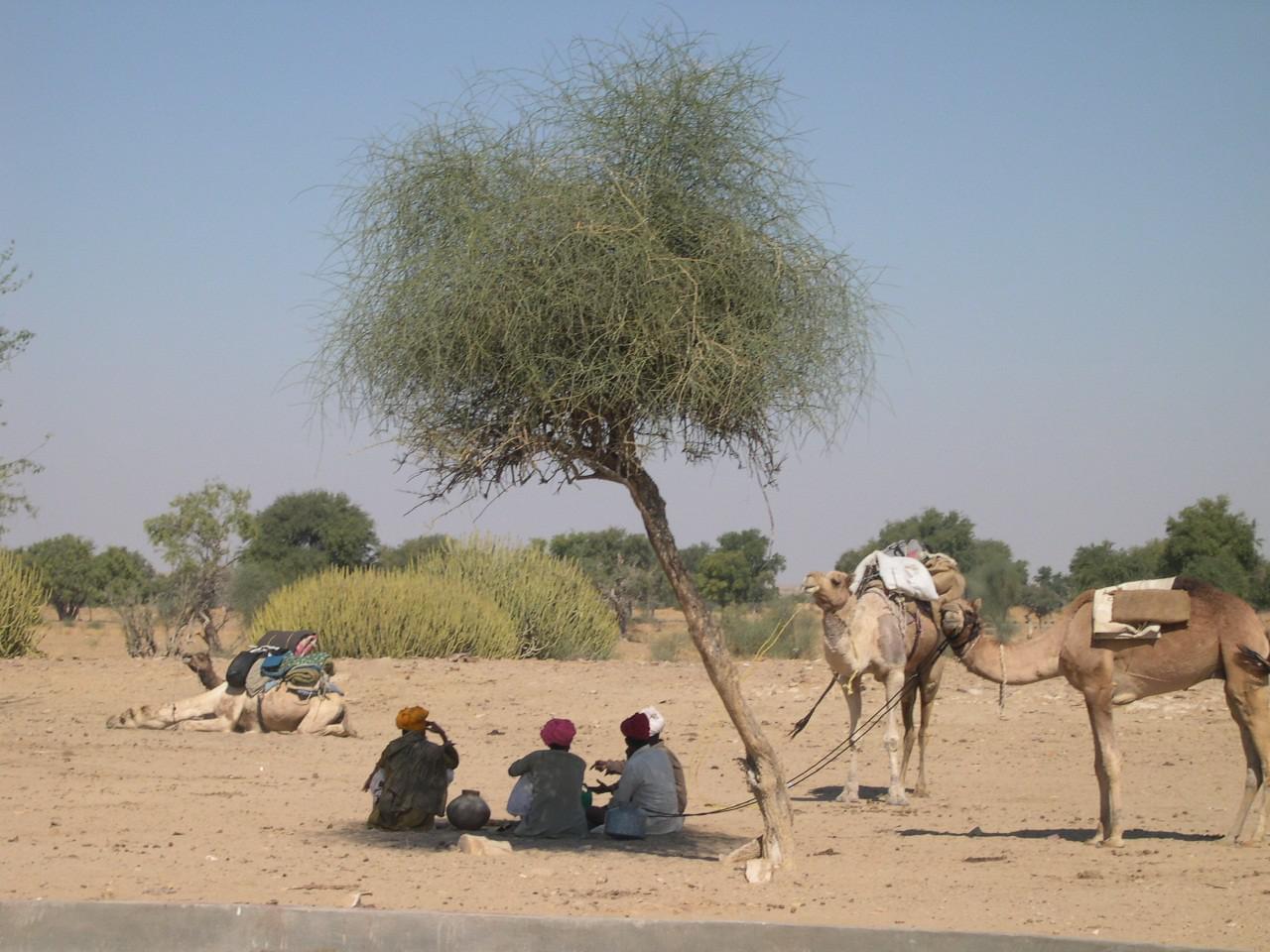 Jaisalmer