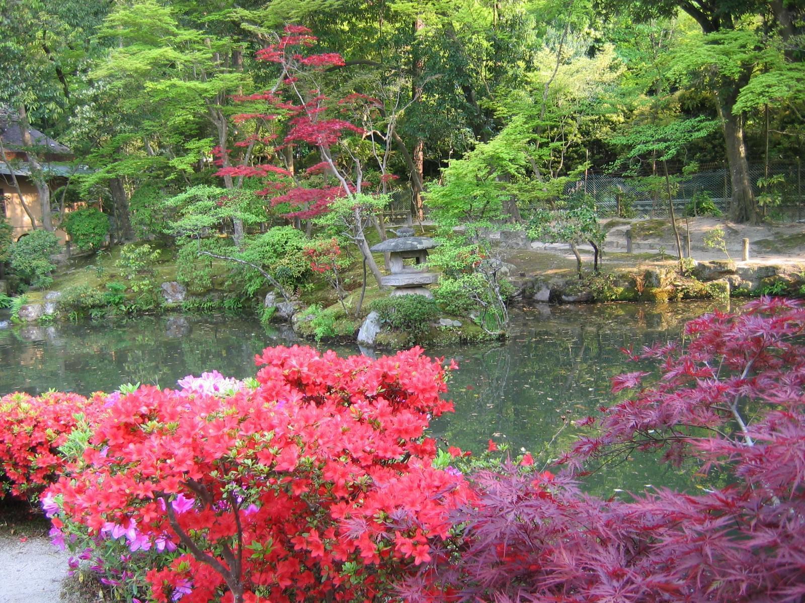 Japon