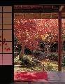 Japon