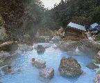 Japon