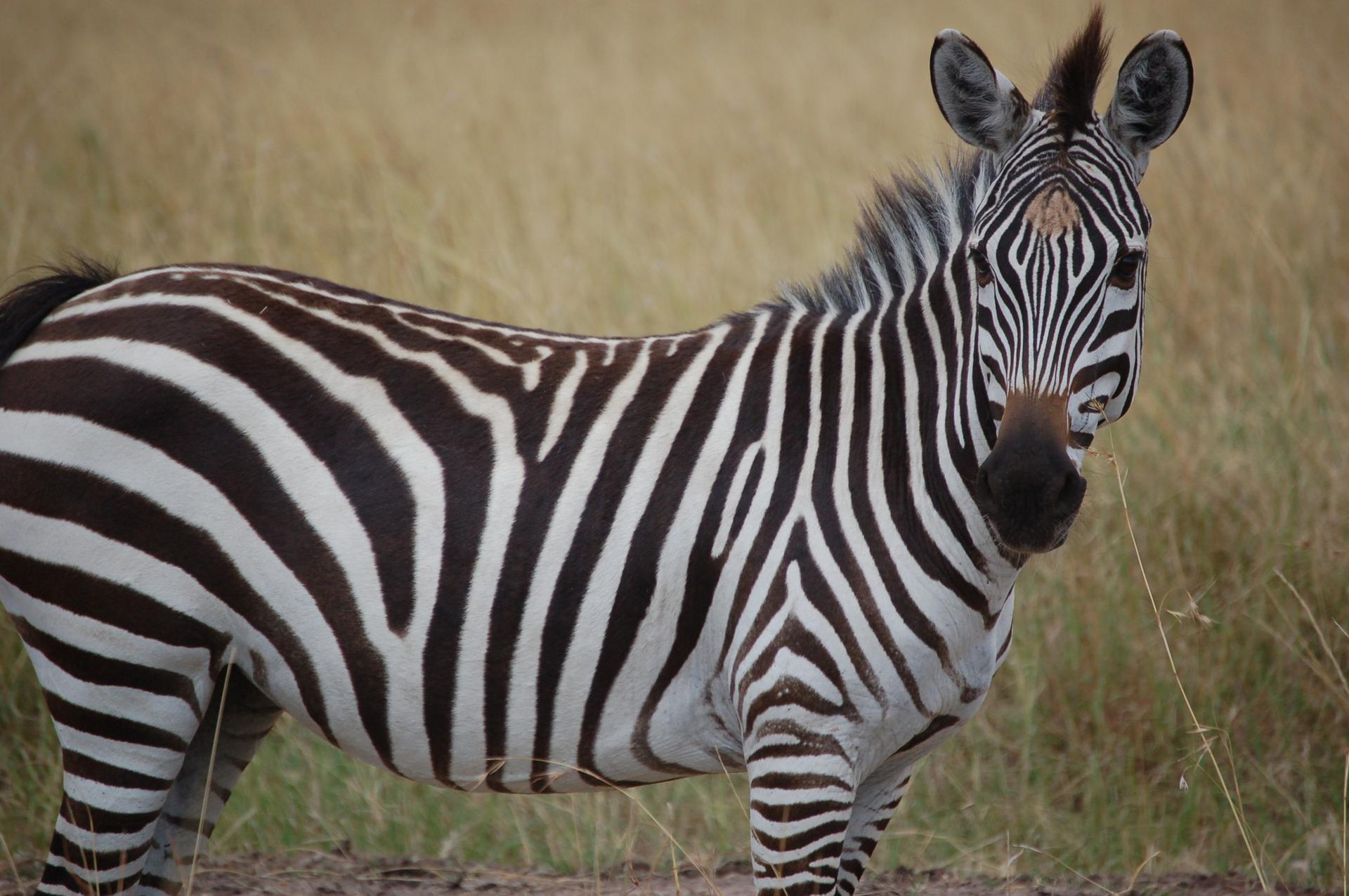 Kenya