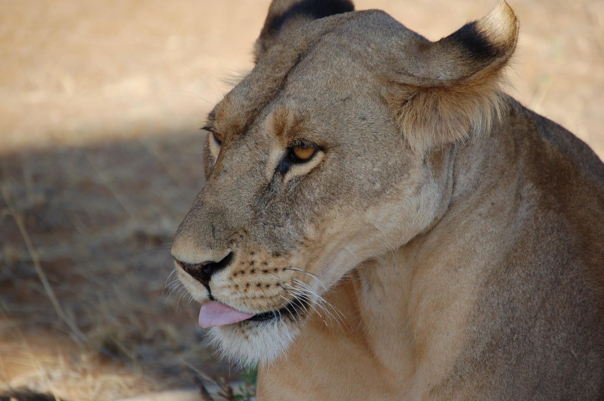 Kenya