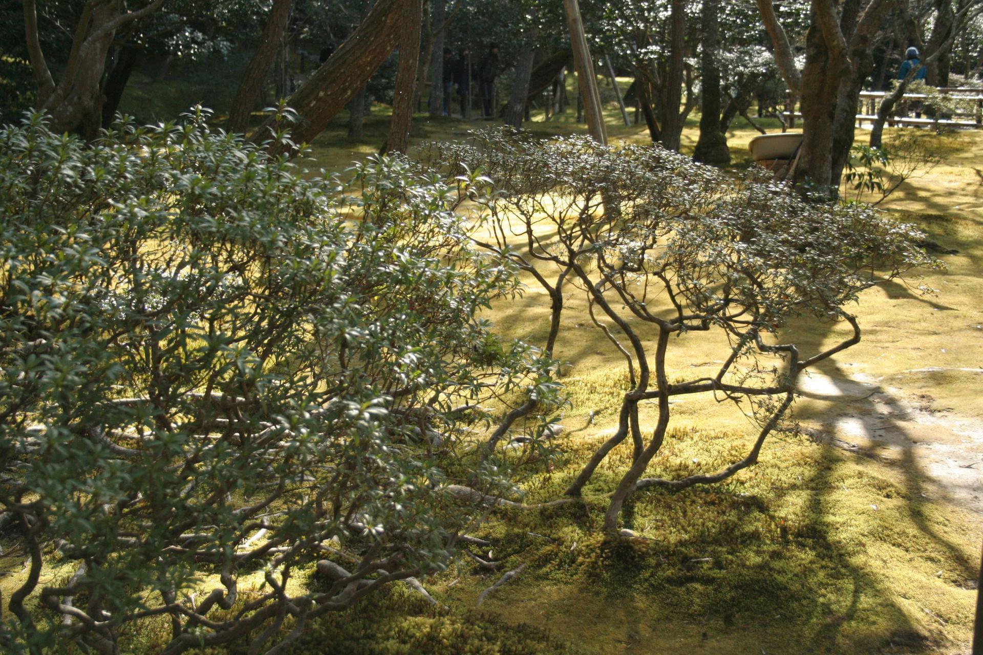 Kyoto