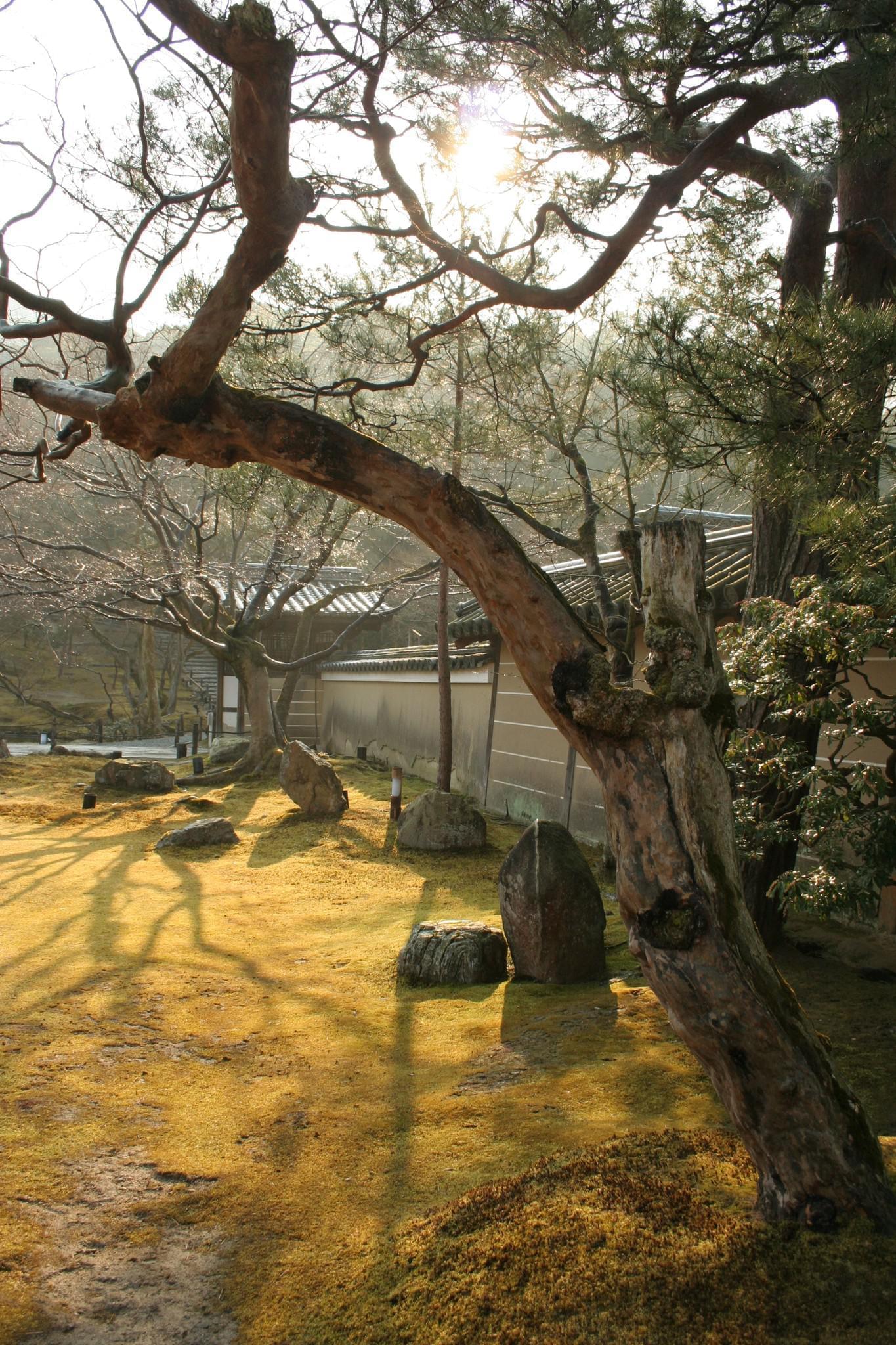 Kyoto